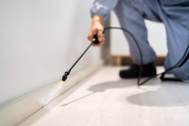 Licensed Mosquito Control service in Fairmount, IN - Show Me Pest Control