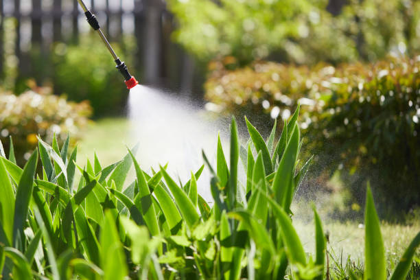 24/7 Emergency Mosquito Control experts in Fairmount, IN